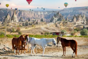 Du Lịch Thiên Nhiên – Sức Hút Của Những Vùng Đất Rộng Mở