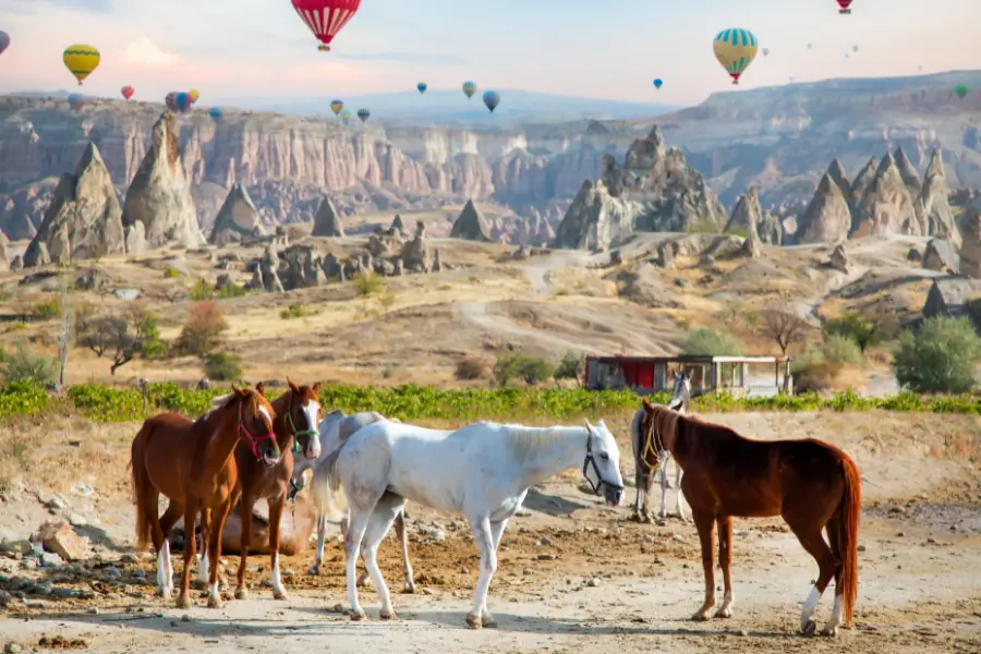 Du Lịch Thiên Nhiên – Sức Hút Của Những Vùng Đất Rộng Mở