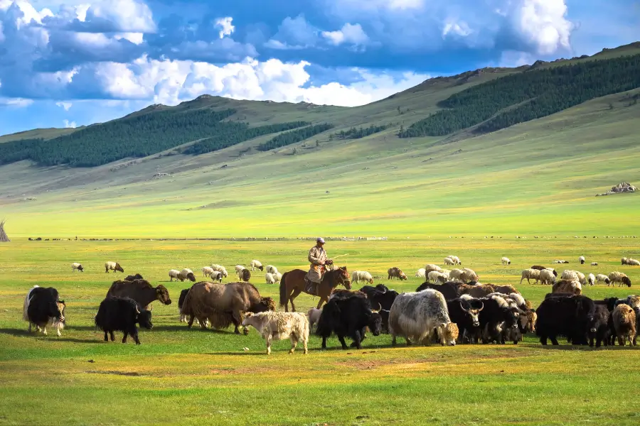 Mông Cổ – Tự do thảo nguyên và nhịp sống du mục
